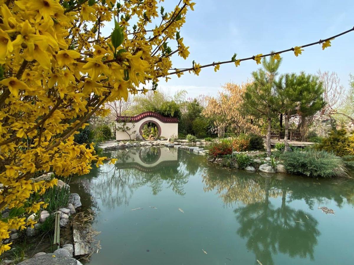 Uzumfermer Hotel & Winery Tashkent Ngoại thất bức ảnh